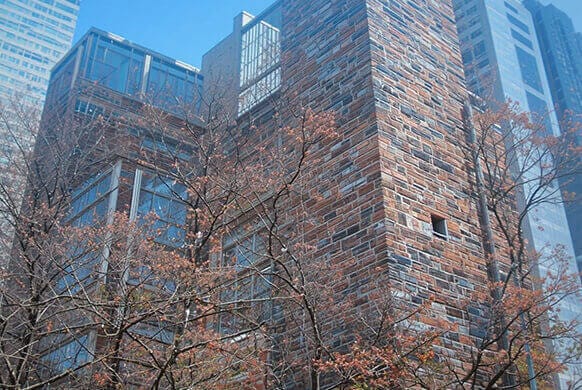 Bronx Brick Repointing Services